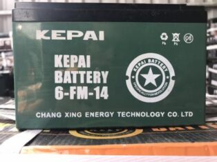 Bình Acquy 12v-12a Kepai