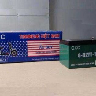 Ắc quy CXC (12v - 12a)