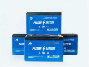Acquy Passion 12v-14ah