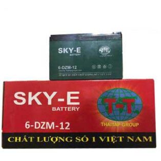 Bình xe điện SKY-E 12V-12Ah