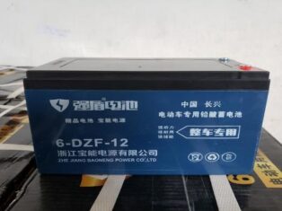 Bình acquy xe điện 12v 12a Lanmgt