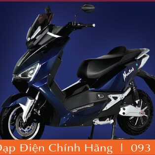 xe máy điện newtech xanh